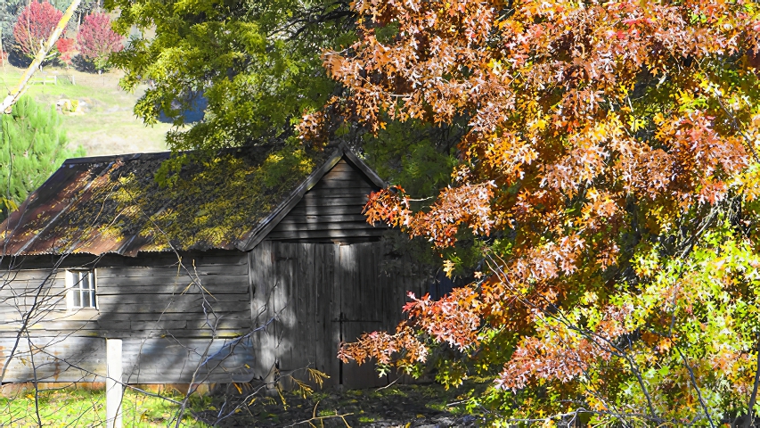 The ShedPhotography by Brian Paatsch